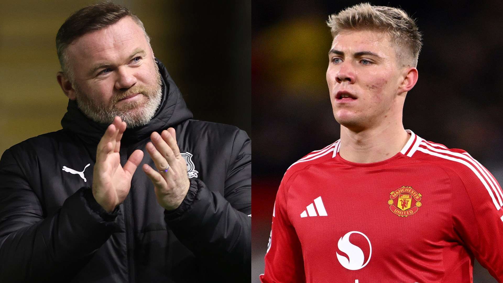 他们将成为 他们将成为