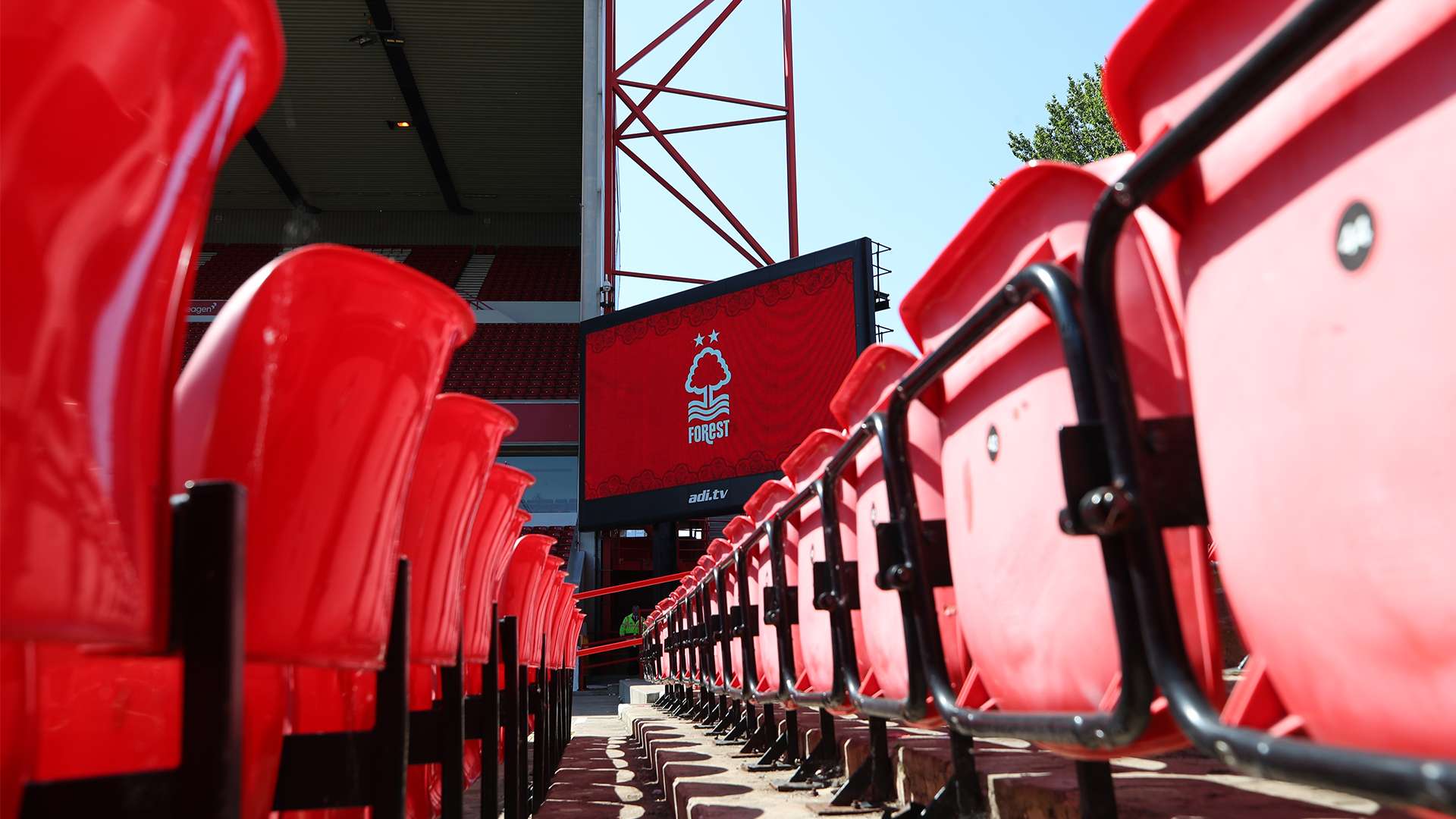 期待與壓力 期待與壓力