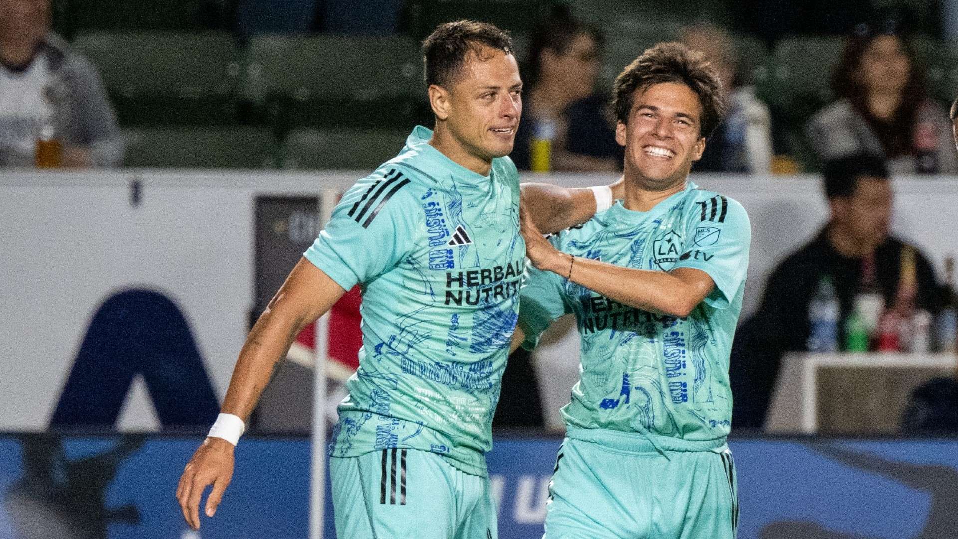 中表现顽强 中表现顽强